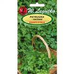 Parsley - Pietruszka Naciowa Petroselinum crispum Imported from Poland. Flat Leaved Parsley Aromatic variety with smooth, rich in vitamins leaves. Plenty of leafy plants resistant to low temperatures - can overwinter in the soil, sowing seeds from March